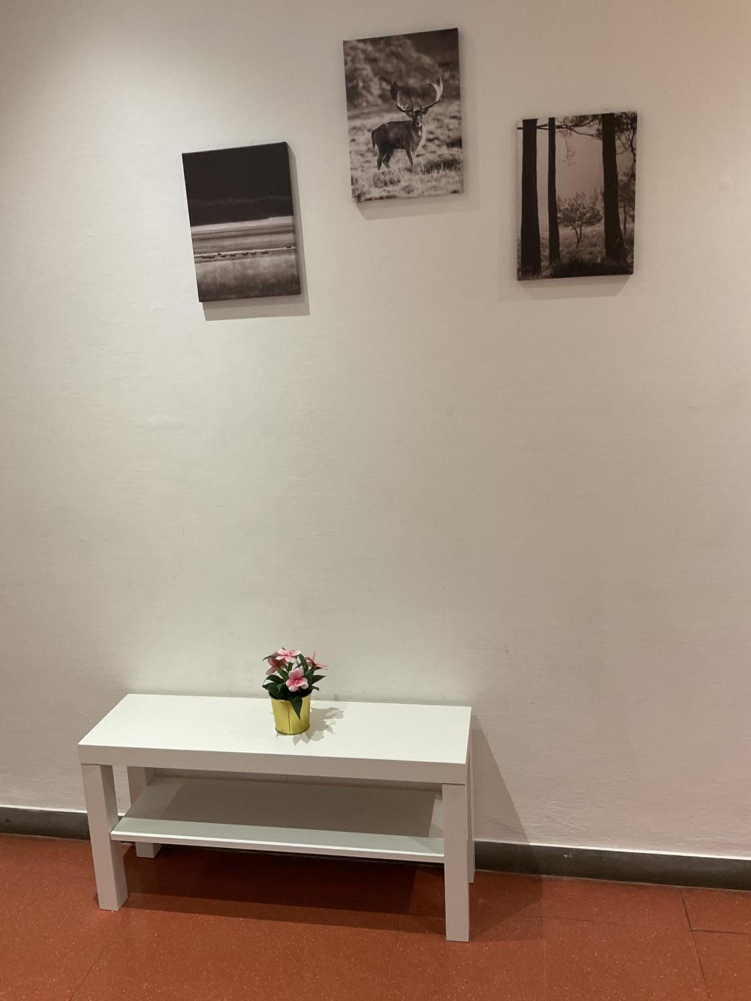 Apostoli IX Apartment ฟลอเรนซ์ ภายนอก รูปภาพ